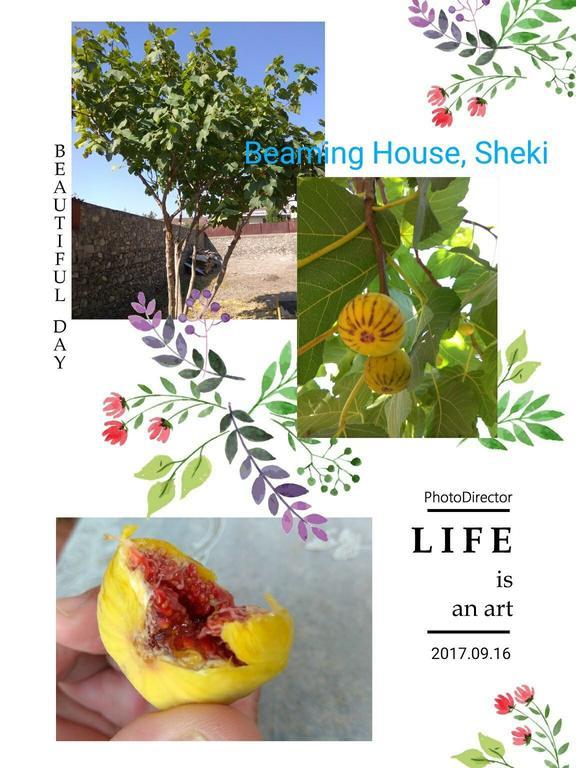 Beaming_House Sheki Exterior foto